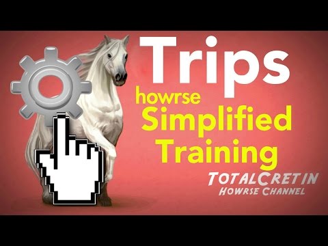 how to start off your ec on howrse