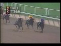 Cigar Jockey Club Gold Cup 1995 + overview