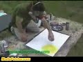 Search Video