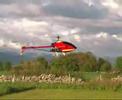 PowerCat RC Helicopter PowerCat RC Helicopter