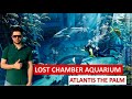 Atlantis The Palm Lost Chambers Aquarium