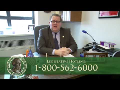 Representative Liias Legislative Update 031010