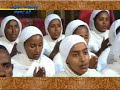 tewahedo.org