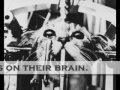 animal cruelty and beyond animal cruelty and beyond