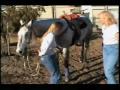 Vita Lobelle - Healing the Horse's Spirit - 1 of 3