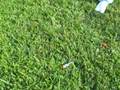 videos de Total annihilation 1