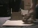 birdhouse-demo-home-movie.html