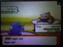 Pokefan26 vs pokemonmasterquest