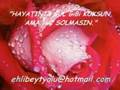 Duygulu ilahiler - ehlibeytyolu@hotmail.com
