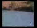 Parte 2) La guerra por la comida reflexión.wmv