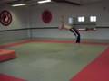 aerial arts-splintermike