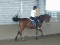 willi und ich2
