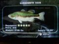 Rapala Fishing Frenzy Monster Fish