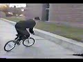 Taj Mihelich - Happy Days