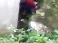 bogdanel cand se caca la braschi