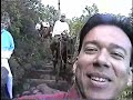 Moloka'i Mule Ride (Molokai, Hawaii) Hansen's Disease