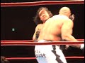 ???vs Bob Sapp  \