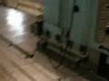 5 ASQUITH 5RM FLOOR RAM TYPE HORIZONTAL BORING MILL, 1971