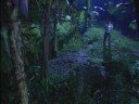 demo reel