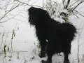 Leo an der Brend