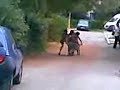 niste fraieri cu roba