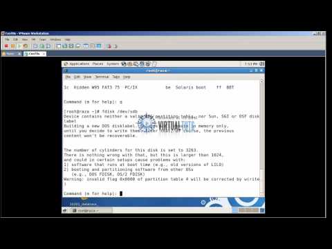 how to discover a new disk in linux