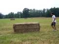 videos de haybale jumping