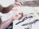 SPYDERCO KNIFE WATCH REPAIR SPYDERCO KNIFE WATCH REPAIR
