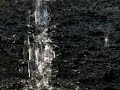 The tears of fairies The tears of fairies