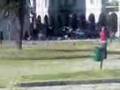 the king of piccions