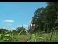 videos de Staking Tomatoes