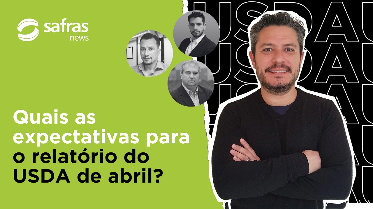 Confira as expectativas para soja, milho e trigo do relatório de abril - Pré-USDA