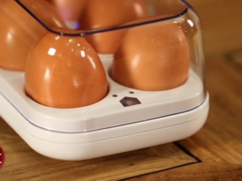 Counting your eggs before they hatch with the Quirky Egg Minder.