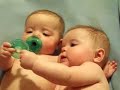 Baby twins fight for binky