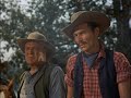 king lives as an outcast because of a rumor that he is the son of the notorious outlaw. to check the rumor's validity, king joins the dalton gang, thinking that his father is still alive. after a shootout the daltons are history, but king survives to learn that he is not jesse jame's son. mpaa rating: notrated (c) 1953, renewed 1981 columbia pictures industries, inc. all rights reserved.