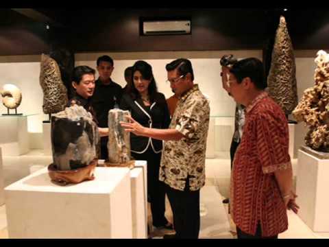 how to collect shells