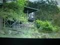 videos de cyberknife cancer care and leahbelles via byron bay