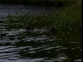 Tradycja zobowi?zuje - spot Wojsko Polskie