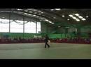 Canine Freestyle