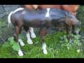 My Breyer Traditional Models