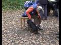 videos de Military 2008 KV-Seetal Teil 3