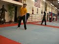 Sifu Bond aerial and butterfly kick
