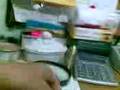 videos de tin-tin special report