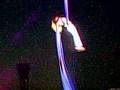 IPL T20 DLF Cup - 2008 (II)