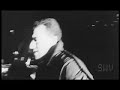 ZEKE - D�lphenw�lf
