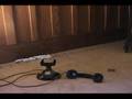 Animation Class And Beyond - Rob Niosi instructor
