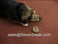 FUNNY FAKE DOG POOP FUNNY FAKE DOG POOP