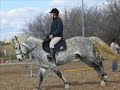 Enzo et moi