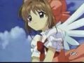 sakura sekorn
