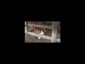 Biogas Digester Part 3